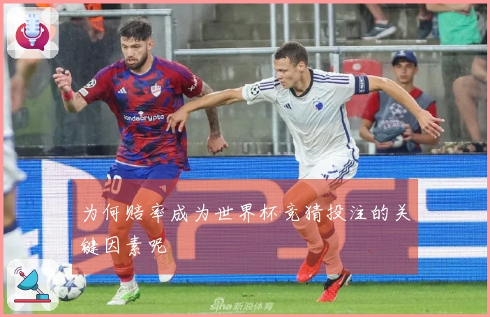 为何赔率成为世界杯竞猜投注的关键因素呢