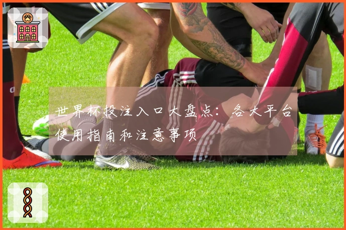 世界杯投注入口大盘点：各大平台使用指南和注意事项
