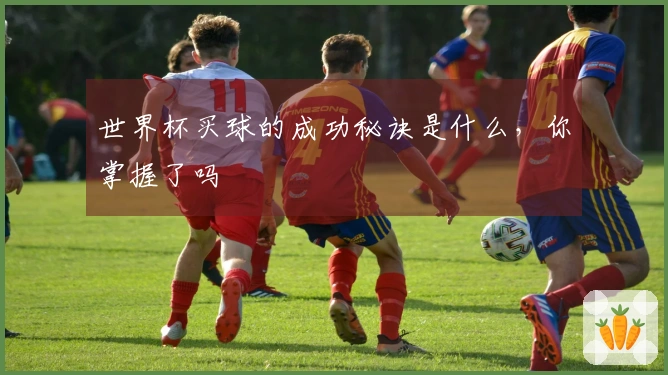 世界杯买球的成功秘诀是什么，你掌握了吗