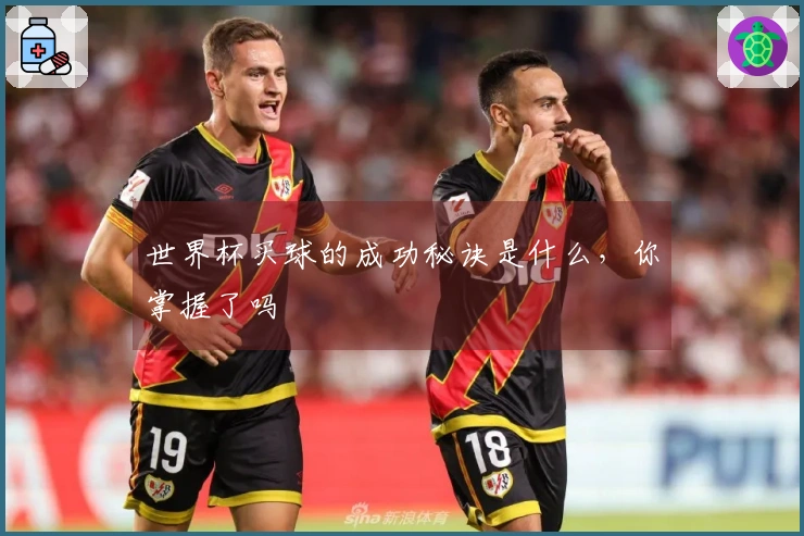 世界杯买球的成功秘诀是什么，你掌握了吗